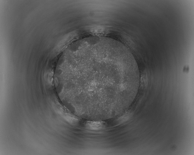 X0000111370671200907171200