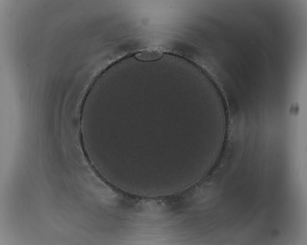 X0000111370673200907171159