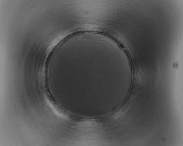 X0000111370674200907171159