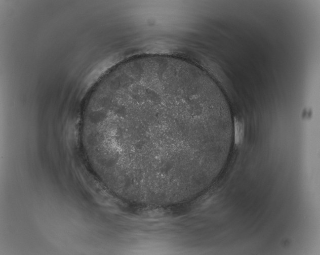 X0000111370675200907171159