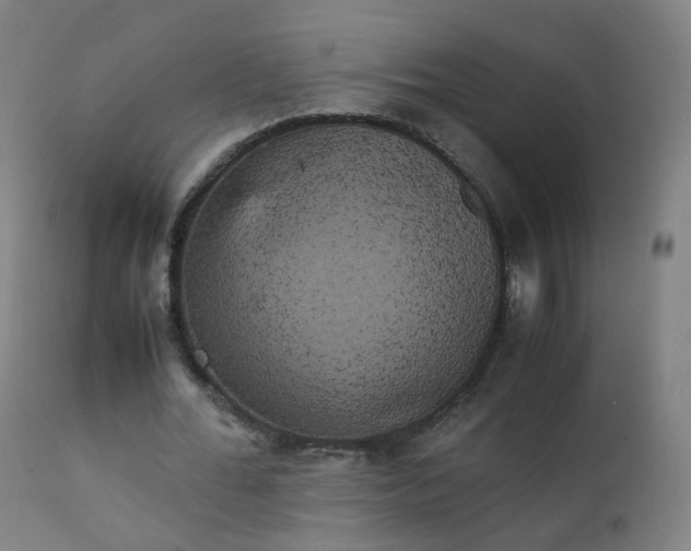 X0000111370676200907171159