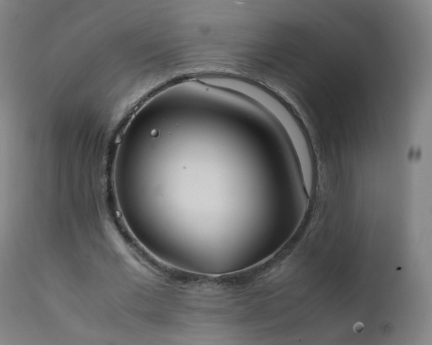 X0000111370677200907171159