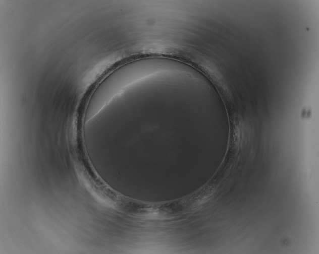 X0000111370678200907171159