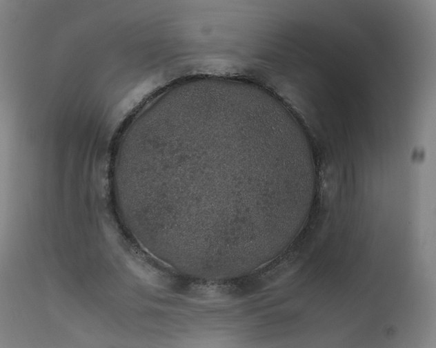 X0000111370679200907171158