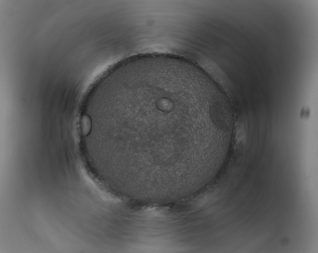 X0000111370680200907171158