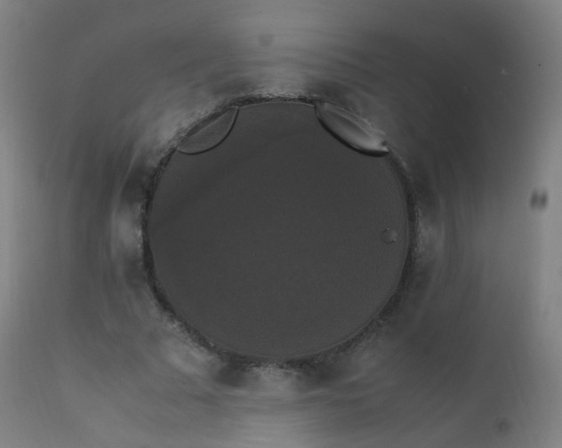 X0000111370681200907171158