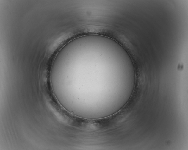 X0000111370683200907171158