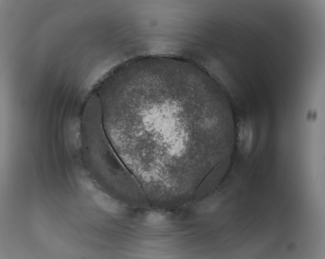 X0000111370684200907171158