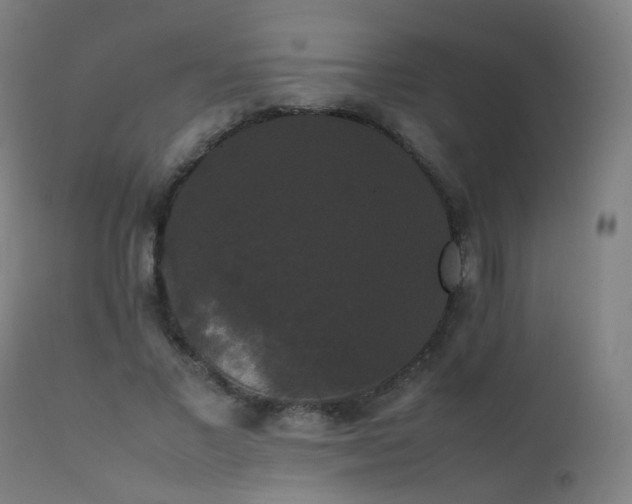 X0000111370685200907171158