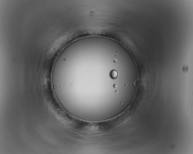 X0000111370687200907171158