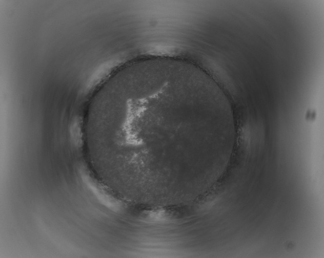 X0000111370688200907171158