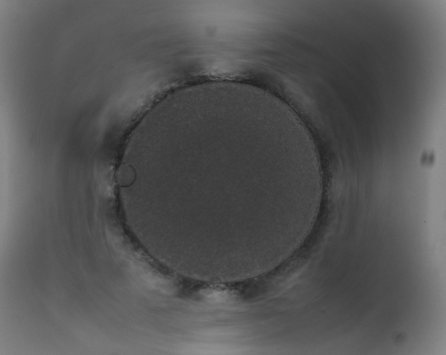 X0000111370689200907171158