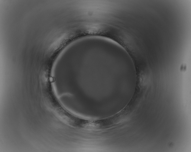 X0000111370691200907171158