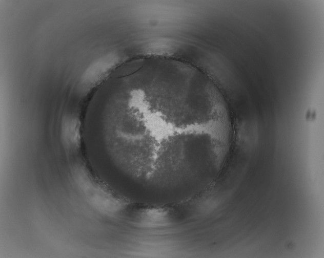 X0000111370692200907171158