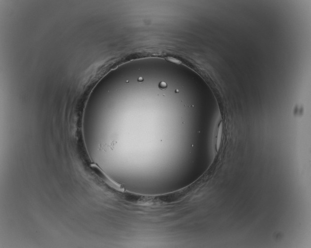 X0000111370693200907171158