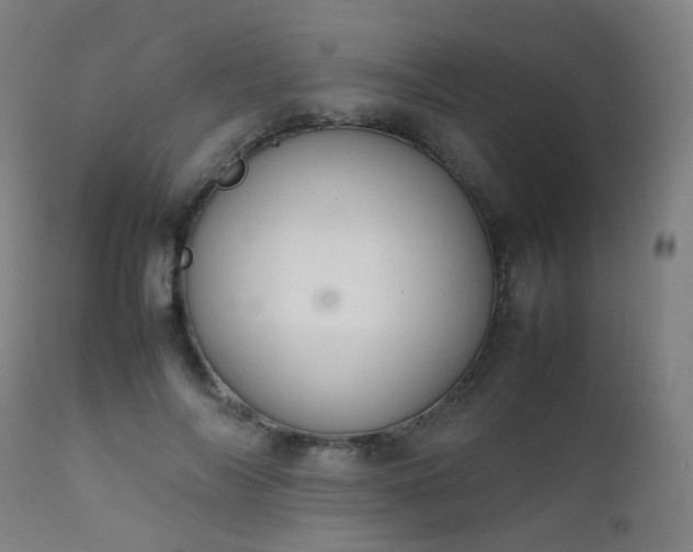 X0000111370694200907171158