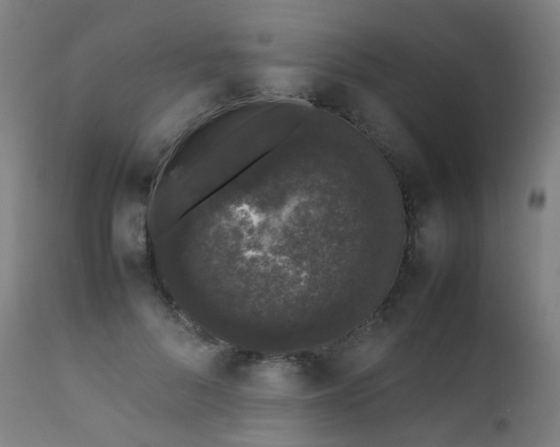 X0000111370696200907171158