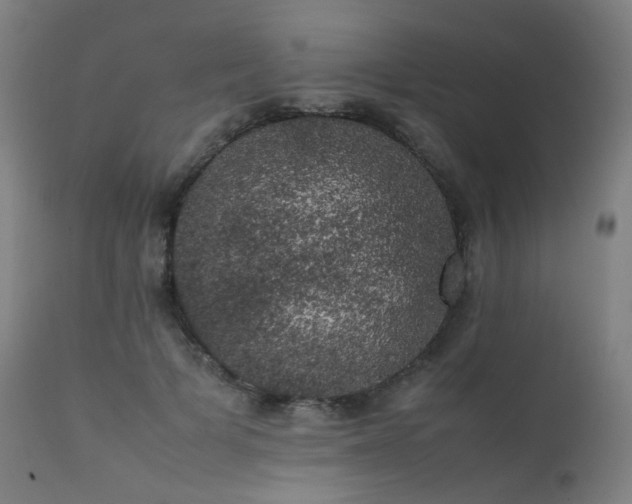 X0000111370697200907171158