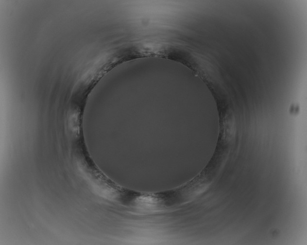 X0000111370699200907171158