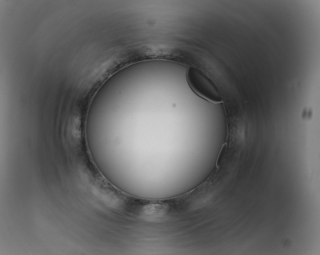 X0000111370700200907171158