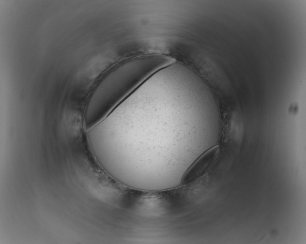 X0000111370704200907171158