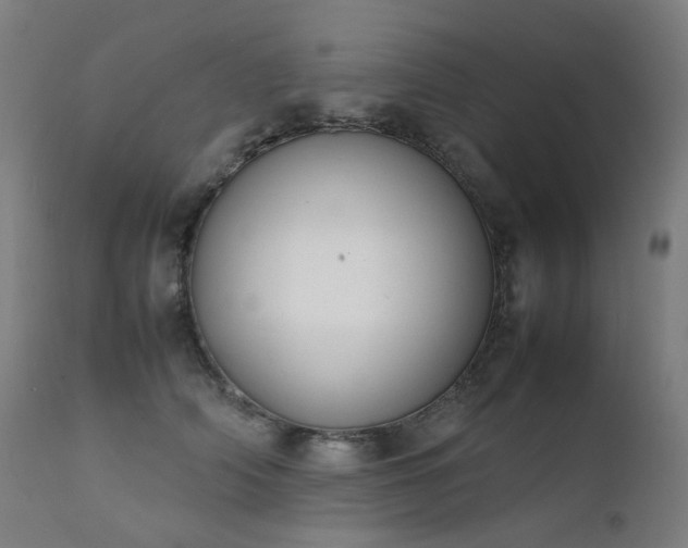 X0000111370706200907171158