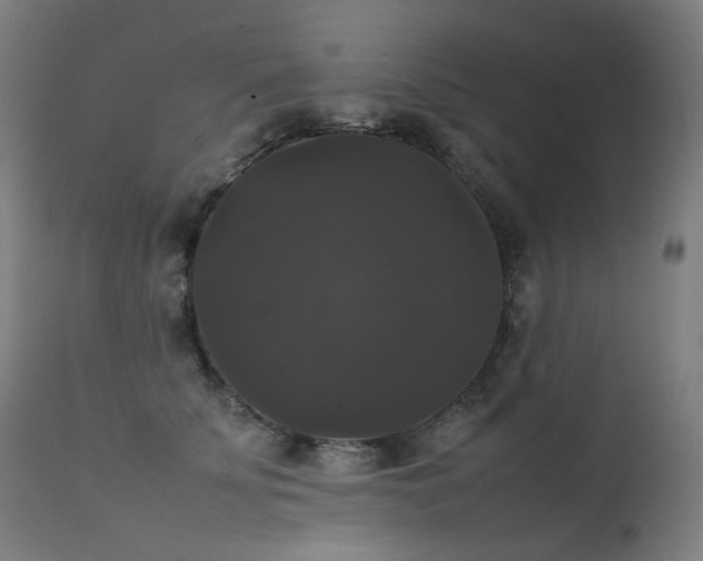 X0000111370707200907171158