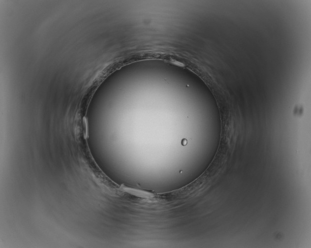 X0000111370708200907171158