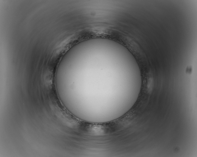 X0000111370710200907171158