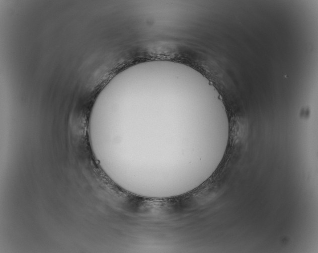 X0000111370713200907171158