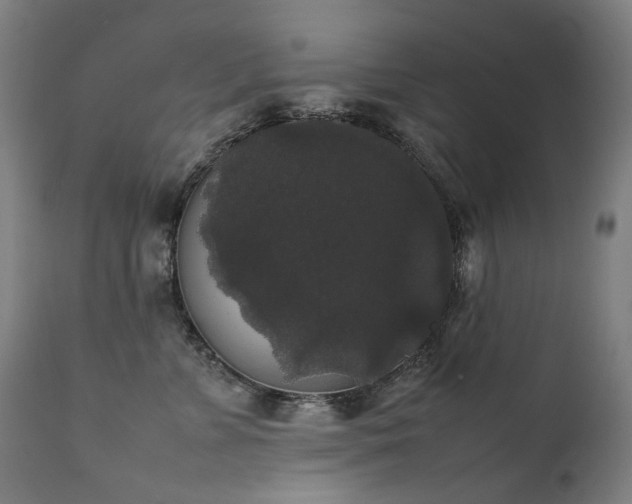 X0000111370715200907171158