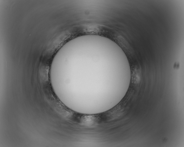 X0000111370717200907171158