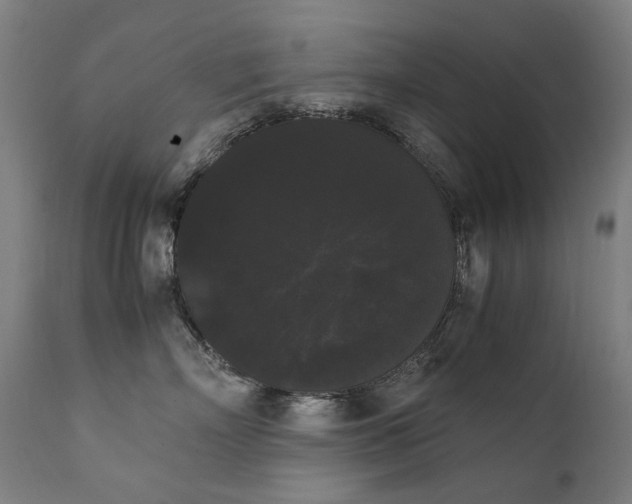 X0000111370718200907171158