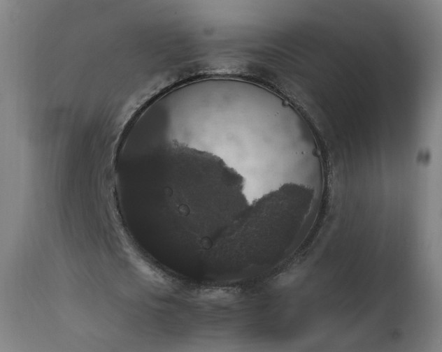 X0000111370721200907171157