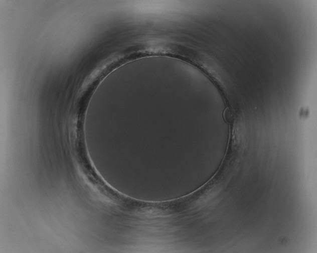 X0000111370722200907171157