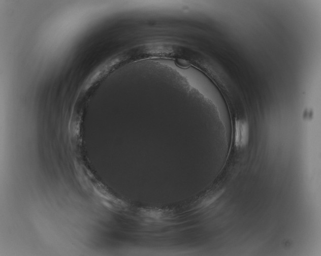 X0000111370723200907171157