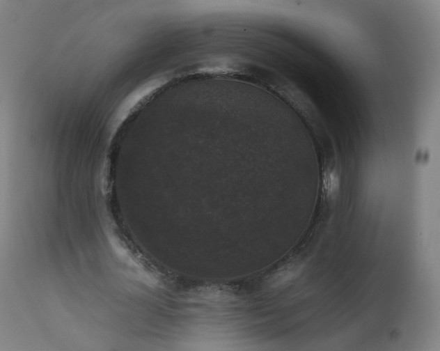 X0000111370724200907171157