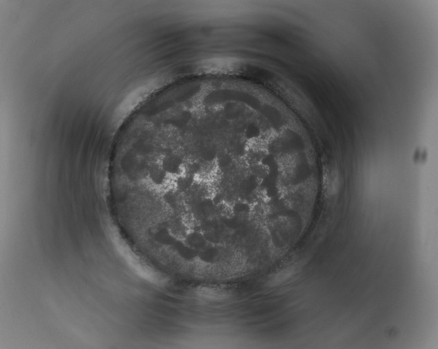 X0000111370725200907171157