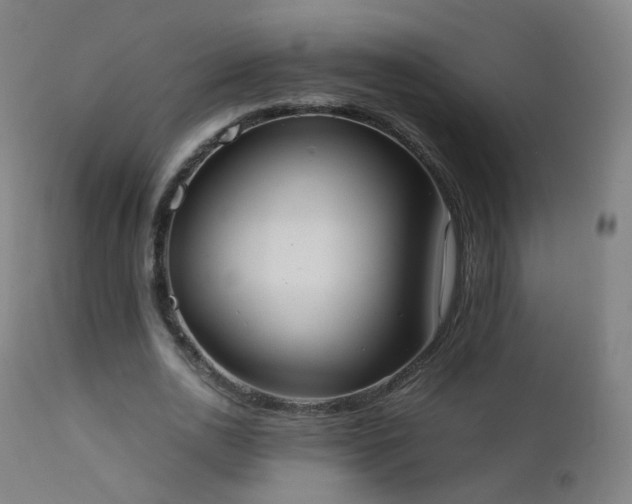 X0000111370726200907171157