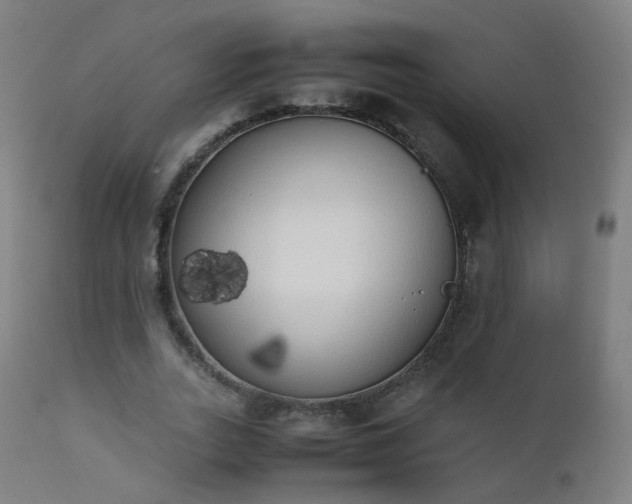 X0000111370727200907171157