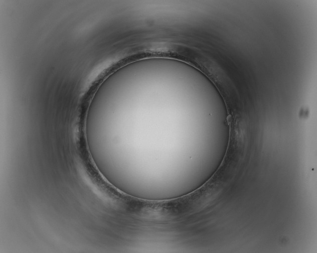 X0000111370728200907171157