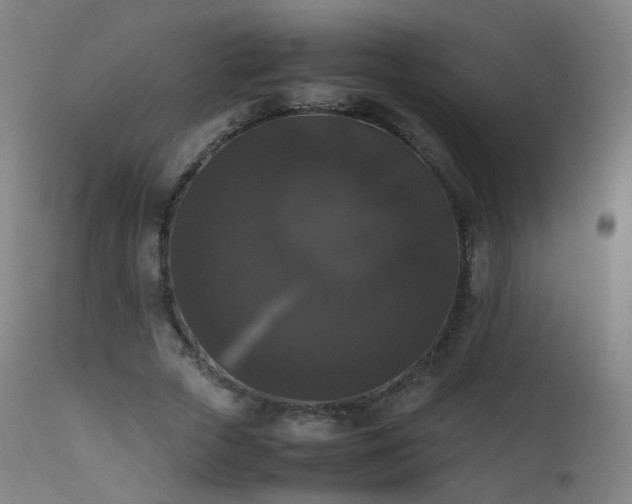 X0000111370729200907171157