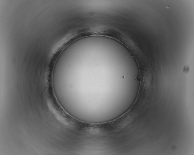 X0000111370730200907171157