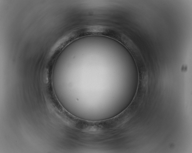 X0000111370731200907171157