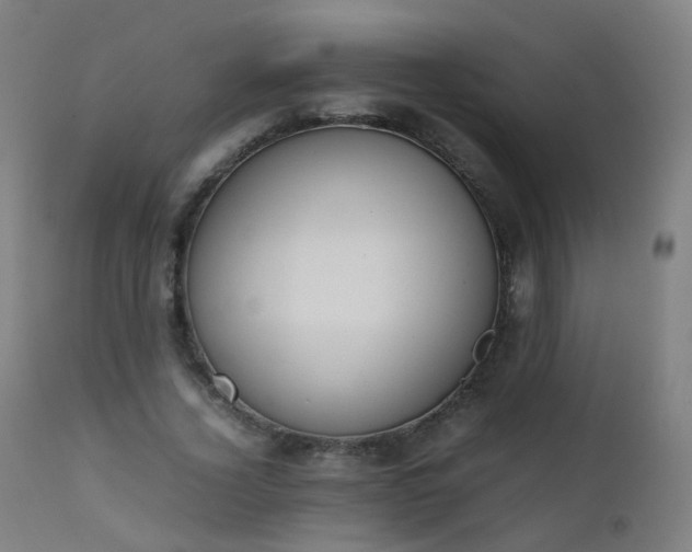 X0000111370732200907171157