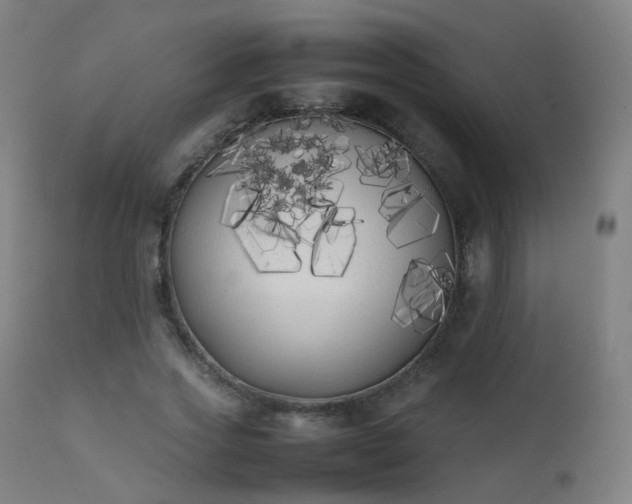 X0000111370733200907171157