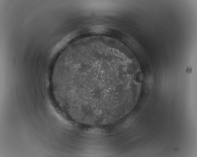 X0000111370734200907171157