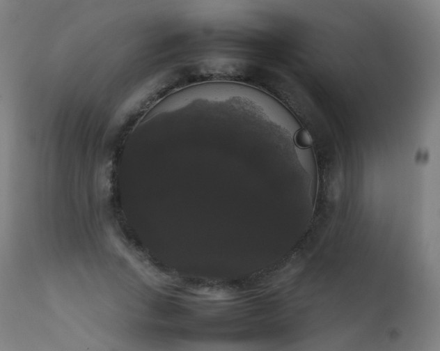 X0000111370735200907171157