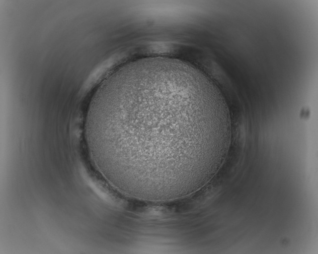 X0000111370736200907171157