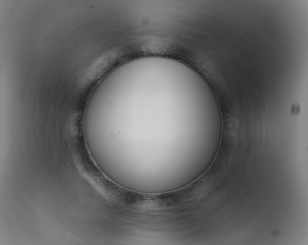 X0000111370738200907171157